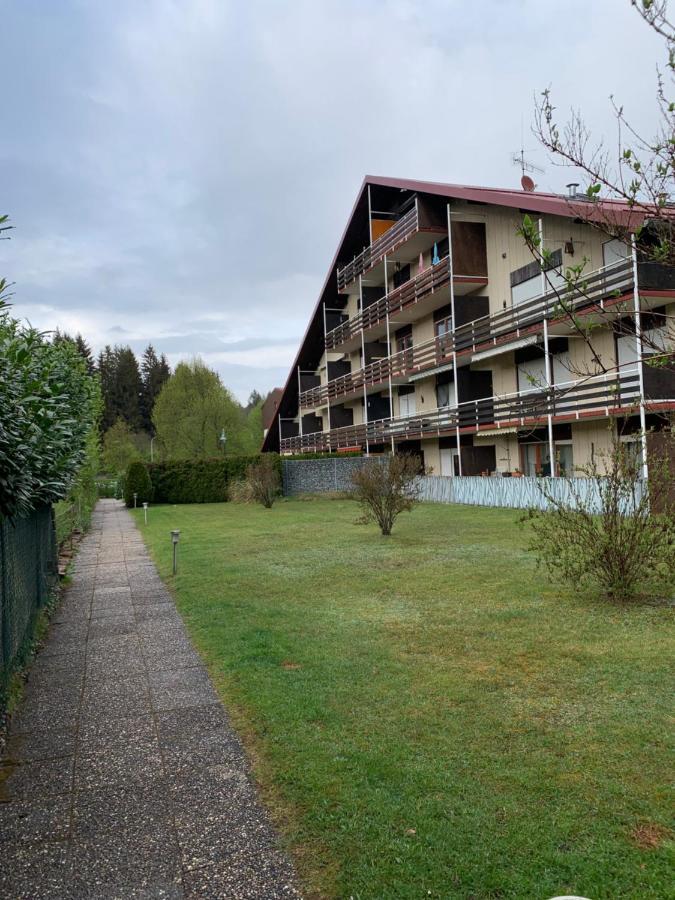 Ferienwohnung Lara Ludwigswinkel Exterior foto